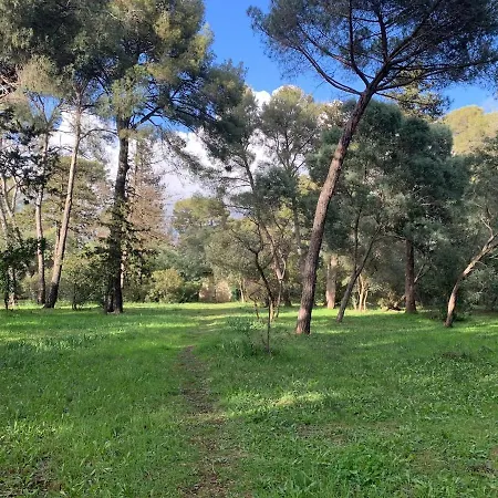 Climatisé Centre-ville De Apartamento La Londe-les-Maures